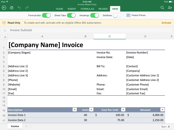 Microsoft Excel per iPad (2)