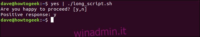 reindirizzare yes in long_script.sh in una finestra di terminale
