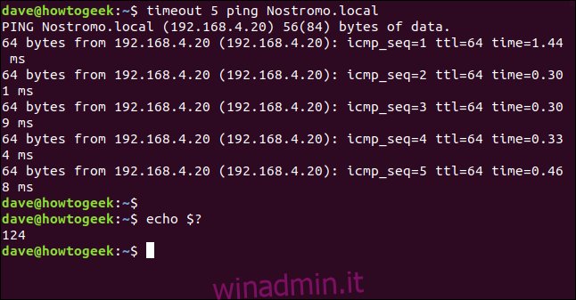 output di ping ed echo $?  in una finestra di terminale