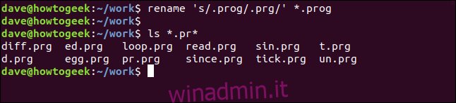 rinominare 's / .prog / .prg /' * .prog in una finestra di terminale