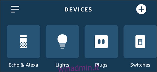App Alexa che mostra luci, prese e interruttori.