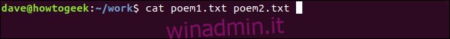 cat poem1.txt poem2.txt in una finestra di terminale