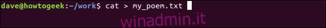 cat> my_poem.txt in una finestra di terminale 