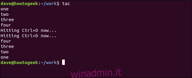 output da tac usando stdin in una finestra di terminale