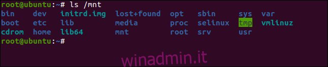 mount -t ext4 / dev / sda1 / mnt in una finestra di terminale