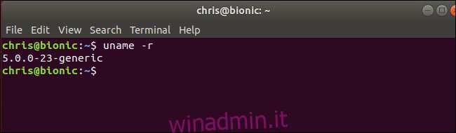 comando uname che mostra il kernel Linux 5.0 in esecuzione su Ubuntu 
