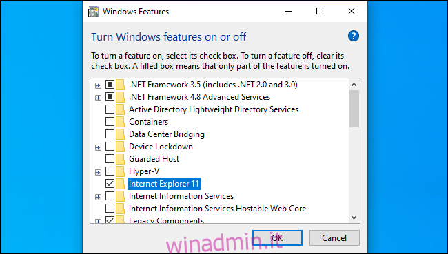 Abilitazione di Internet Explorer dalle funzionalità di Windows.