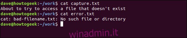 contenuto di capture.txt e error.txt in una finestra di terminale