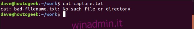 contenuto del file capture.txt in una finestra di terminale