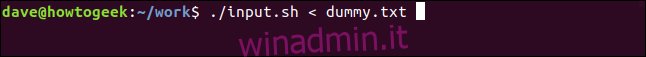 ./input.sh <dummy.txt in una finestra di terminale