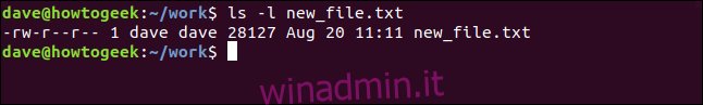 ls -l nuovo_ file.txt in una finestra di terminale