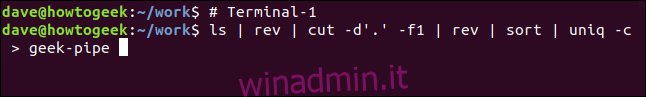 ls |  rev |  cut -d '.'  -f1 |  rev |  ordina |  uniq -c> geek-pipe in a terminal window “width =” 646 ″ height = “97” onload = “pagespeed.lazyLoadImages.loadIfVisibleAndMaybeBeacon (this);”  onerror = “this.onerror = null; pagespeed.lazyLoadImages.loadIfVisibleAndMaybeBeacon (this);”> </p>
<p> Non succederà molto.  Potresti notare che non vieni restituito al prompt dei comandi, quindi sta succedendo qualcosa. </p>
<p> Nell’altra finestra del terminale, immetti questo comando: </p>
<pre> cat <geek- pipe </pre>
<p> <img loading =