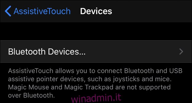 Associazione di un mouse Bluetooth in iOS 13 (iPadOS 13)