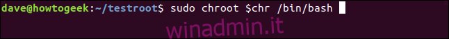 sudo chroot $ chr / bin / bash in una finestra di terminale