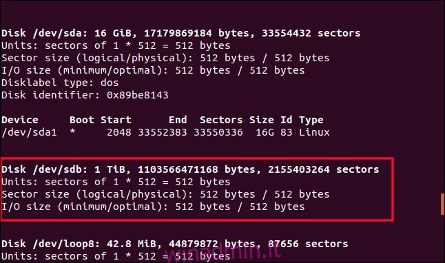 Uscita da fdisk in una finestra di terminale con / dev / sdb evidenziato