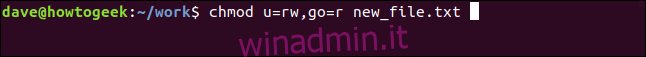 chmod u = rw, og = r new_file.txt in una finestra di terminale