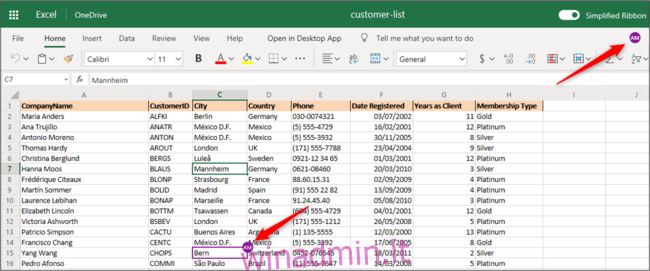 Cartella di lavoro condivisa aperta in Excel per il Web.