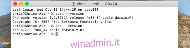 Visualizzazione delle versioni di Bash e Zsh su macOS Catalina.