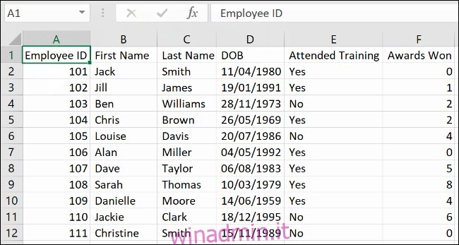 Dati in Excel, separati utilizzando la funzione Testo in colonna