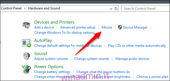Opzione del mouse nel gruppo Dispositivi e stampanti