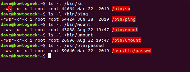 Un elenco di comandi Linux il cui bit SUID è impostato in una finestra di terminale.