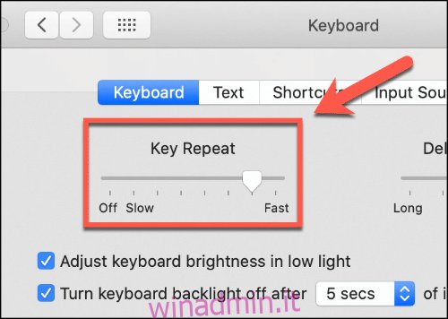 Sposta il cursore Ripetizione tasto su e giù per modificare la velocità di ripetizione della tastiera del Mac