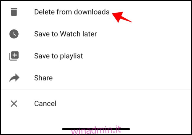 YouTube Elimina dai download