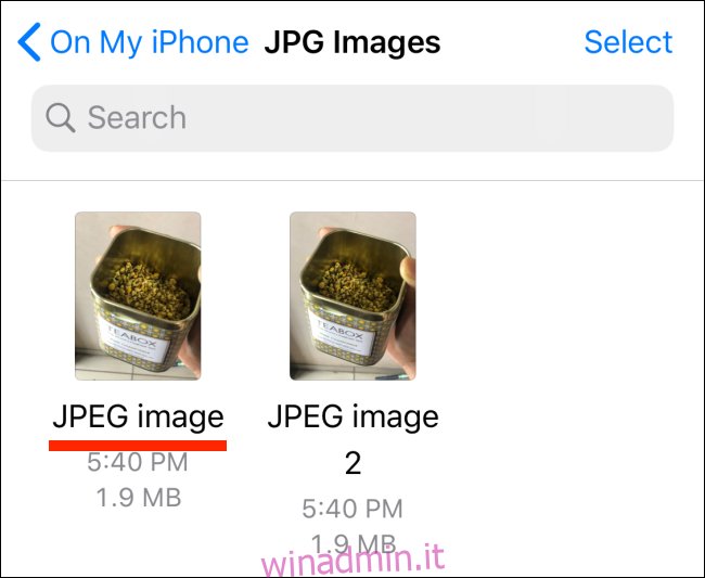 Foto in formato JPG nell'app File