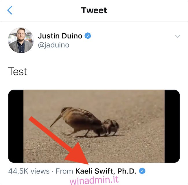 Tweet con video incorporato da iPhone