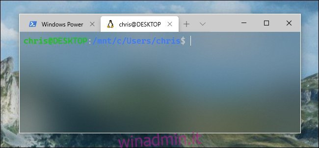 Opacità nel terminale di Windows su Windows 10.