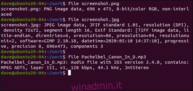 file screenshot.png in una finestra di terminale.