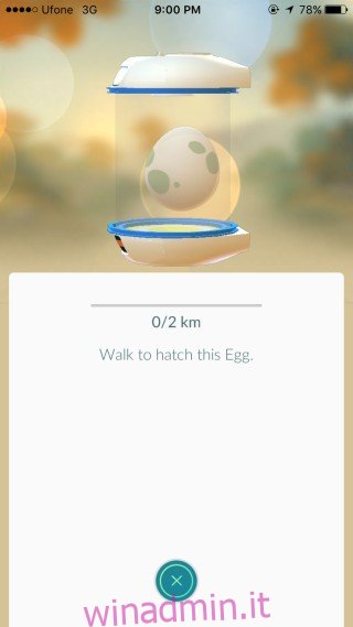 egg-walk-pokemon-go