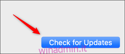 Verifica la disponibilità di aggiornamenti su Mac