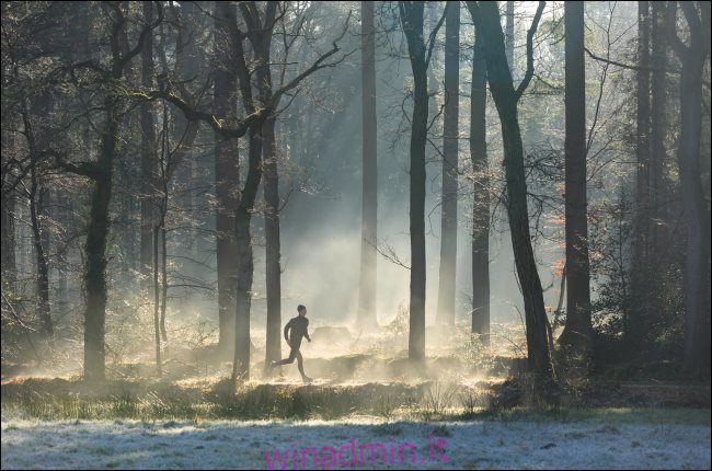 Un corridore in una foresta nebbiosa.