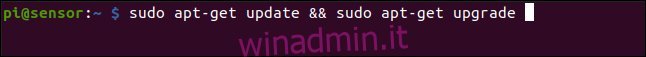 sudo apt-get update && sudo apt-get upgrade in una finestra di terminale.