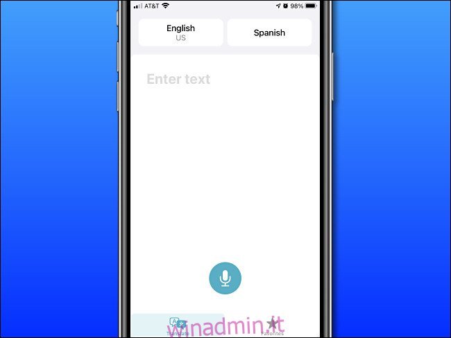 Schermata di input di base di Apple Translate su iPhone