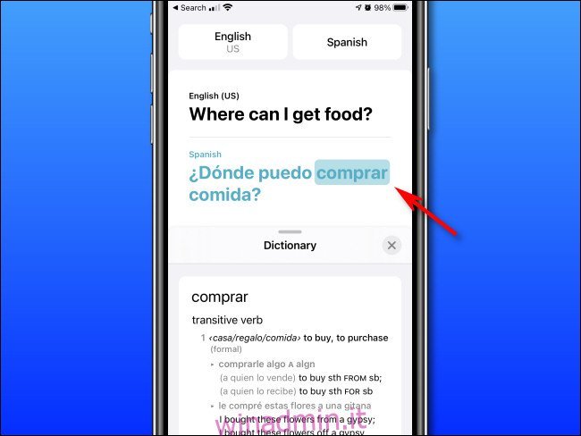 Nella modalità Dizionario di Apple Translate su iPhone, puoi toccare le parole per vedere le loro definizioni.