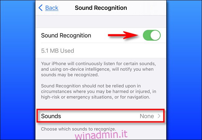 In Impostazioni su iPhone, attiva Riconoscimento audio.