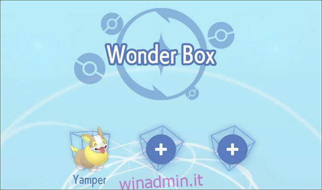 Un personaggio di nome Yamper in un Pokémon Home Wonder Box.