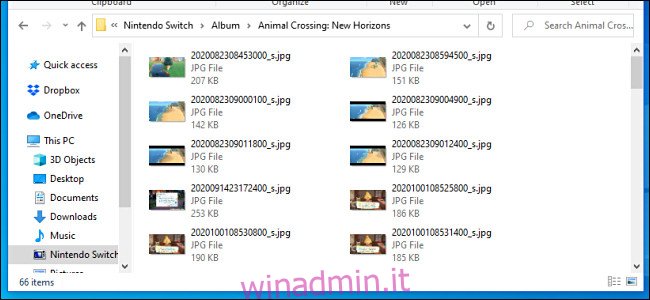 Un elenco di screenshot e immagini video di Nintendo Switch come si vede su un PC Windows tramite un cavo USB.