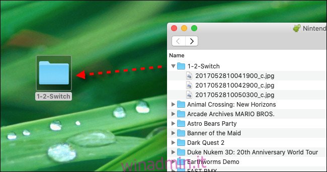 Trascina i file degli screenshot di Nintendo Switch da Android File Transfer sul desktop del tuo Mac.