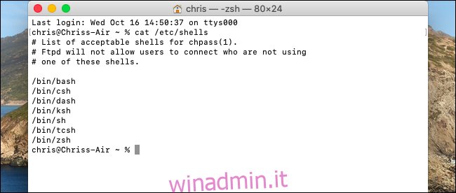 Elenco delle shell disponibili nel terminale di macOS Catalina.