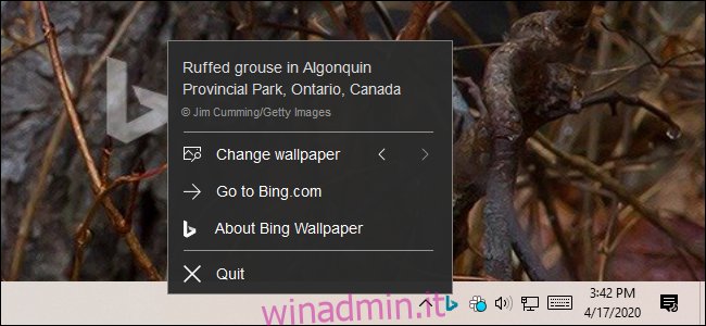 Controllo dell'applicazione Bing Wallpaper dalla sua icona nell'area di notifica.