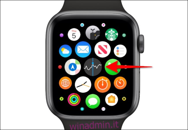 Apple Watch Stock App