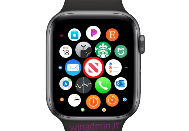 Icona dell'app Apple Watch News