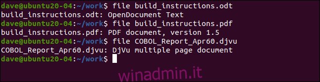 file build_instructions.odt in una finestra di terminale.