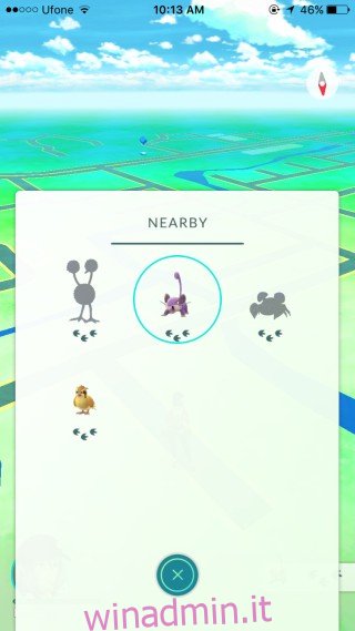 pokemon-nelle vicinanze-seleziona