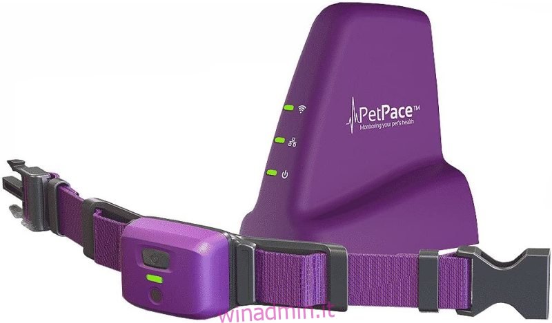 PetPace Smart Collar con 12 mesi di monitoraggio Pet Plus