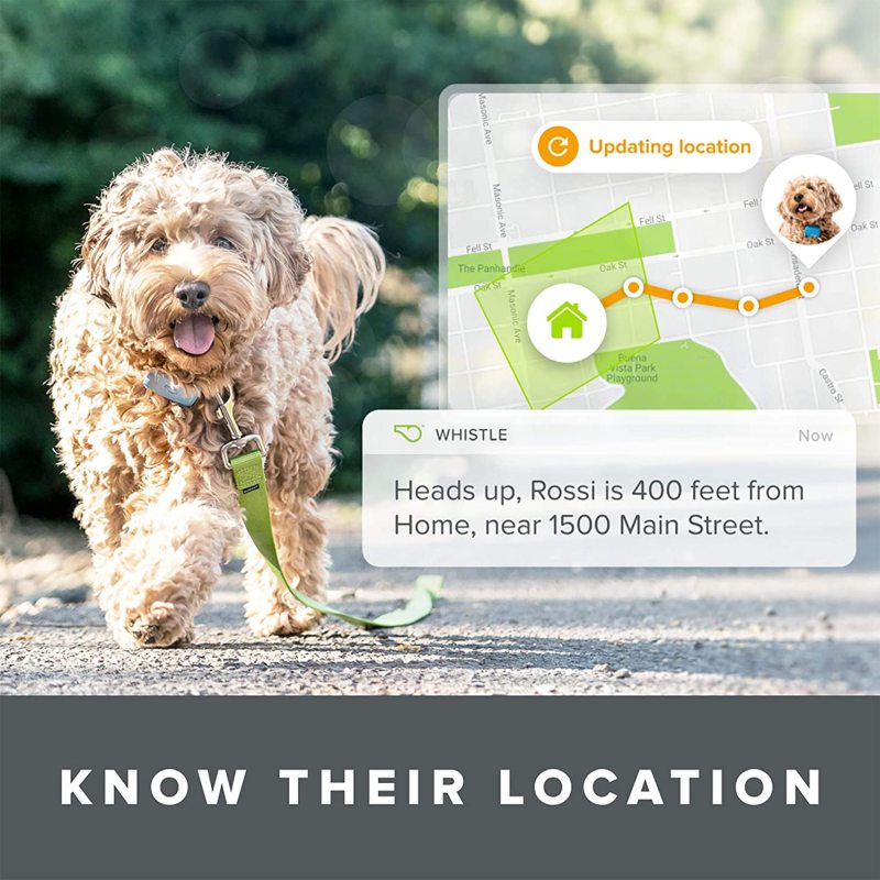 Whistle Go Explore - Ultimate Health & Location Tracker per animali domestici