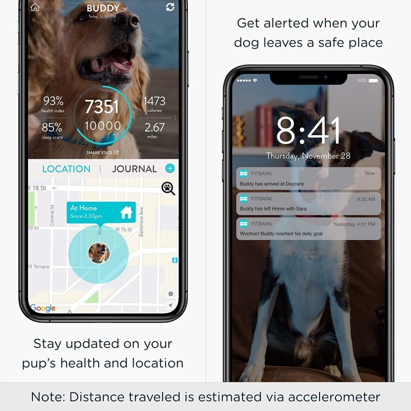 Localizzatore GPS FitBark per cani |  Salute e posizione Collare intelligente per il monitoraggio degli animali domestici